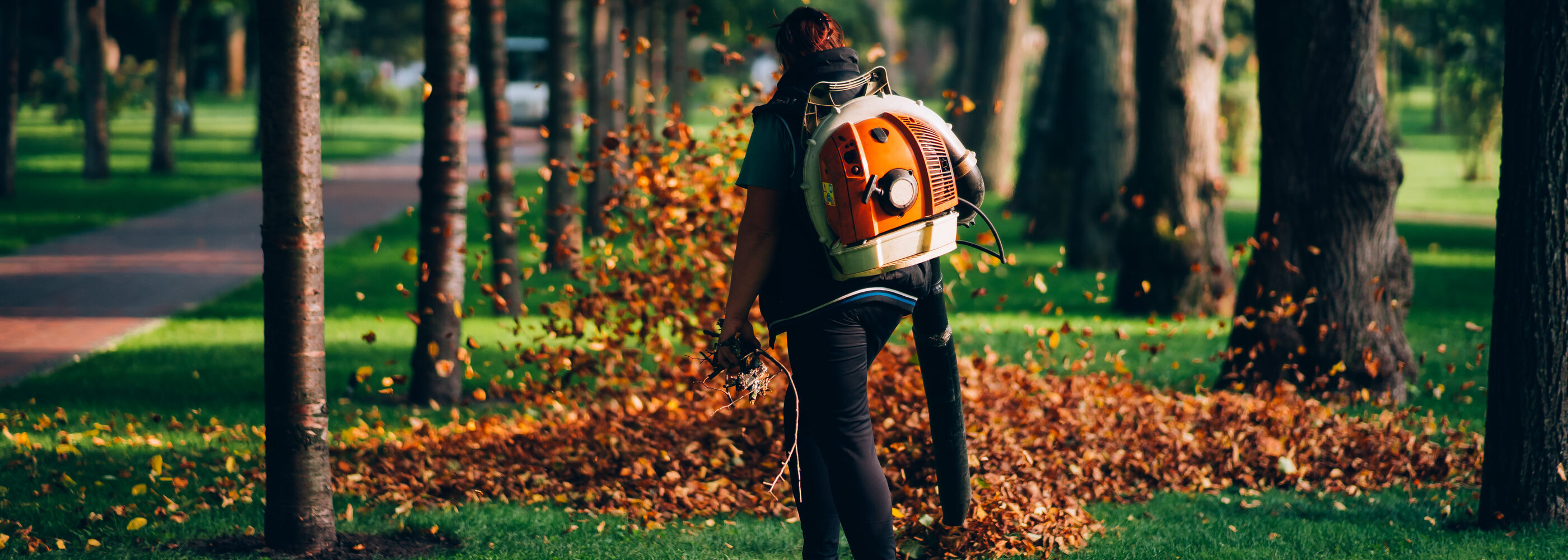 Vakkundig groenonderhoud in een parktuin