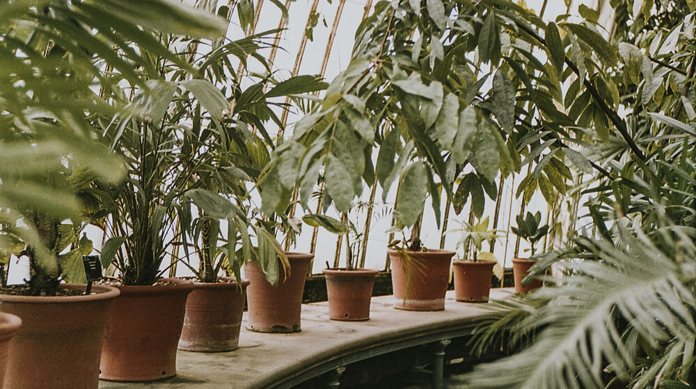 Kleurrijke beplanting